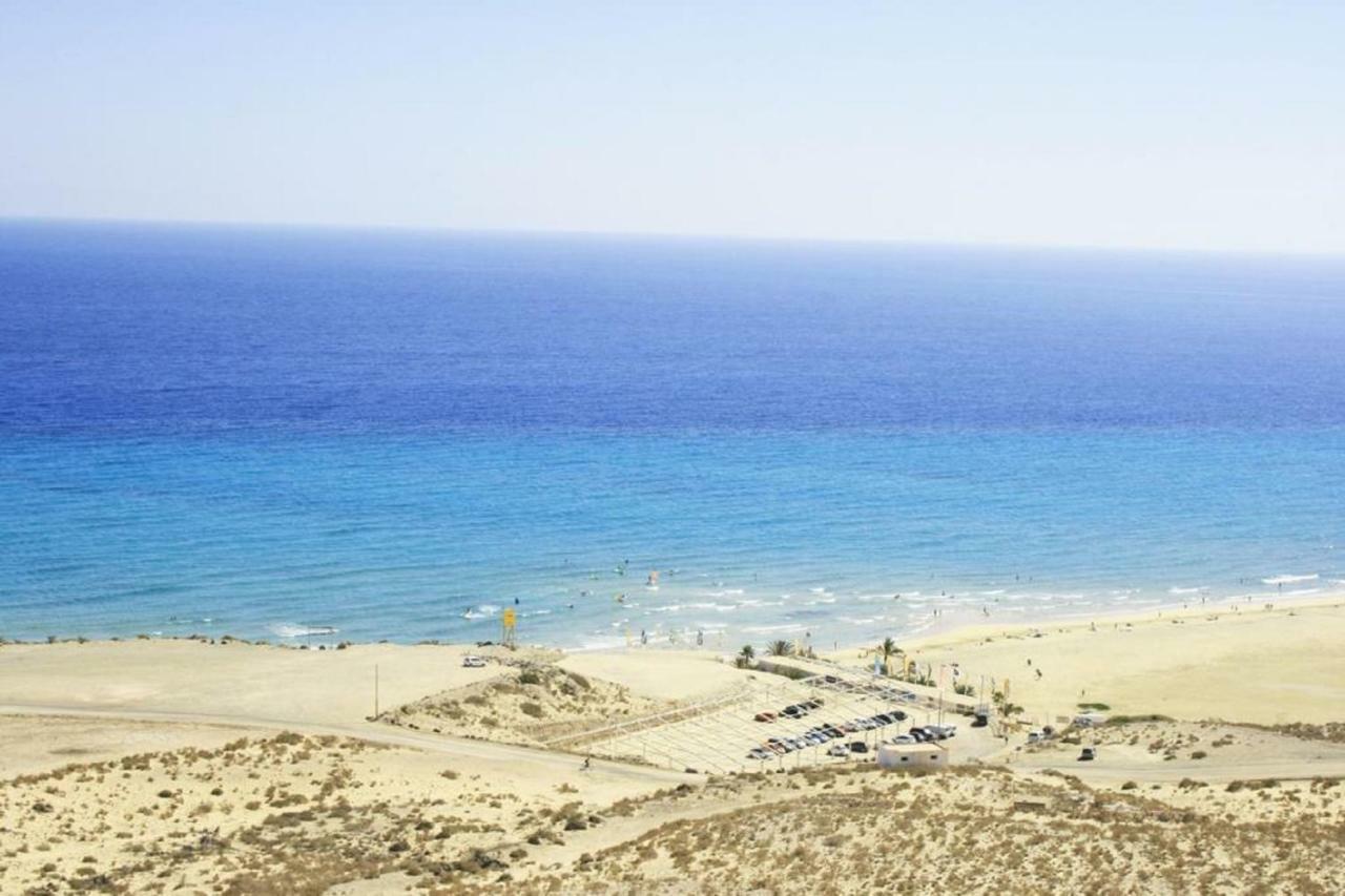 Cardon Big Calm 15 Costa Calma